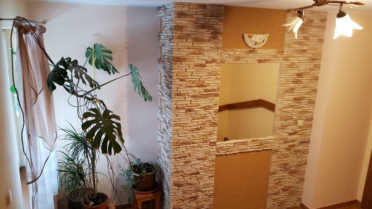 Pokoje Goscinne U Halinki زومب المظهر الخارجي الصورة